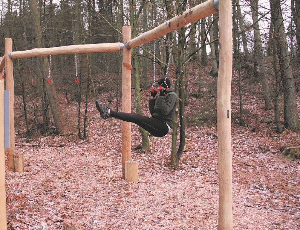 Gym Fitness, 2 sektioner